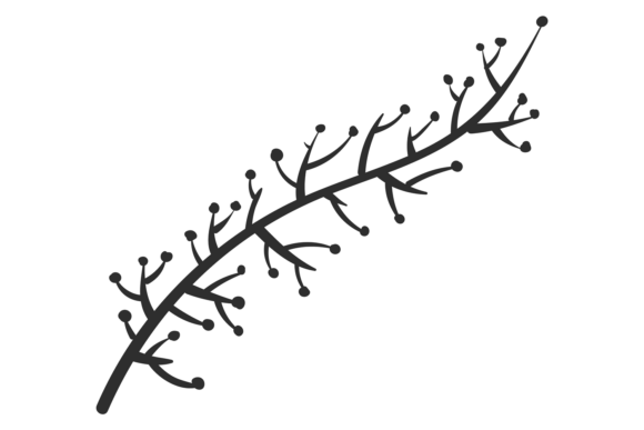 Botany Branch: Graphics for Branding & Illustrations