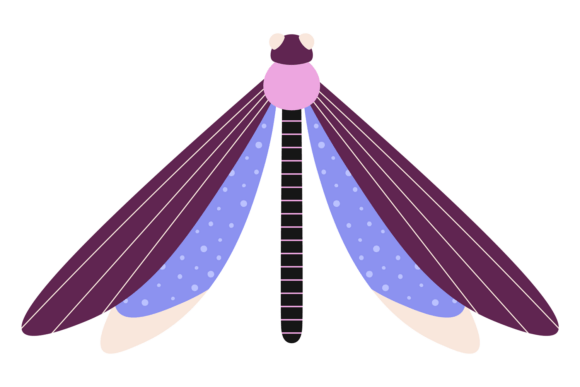 Decorative Dragonfly Color Drawing for Modern Web and Editorial Design