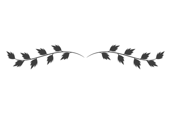 Elegant Black Botany Header for Illustrations and Graphics