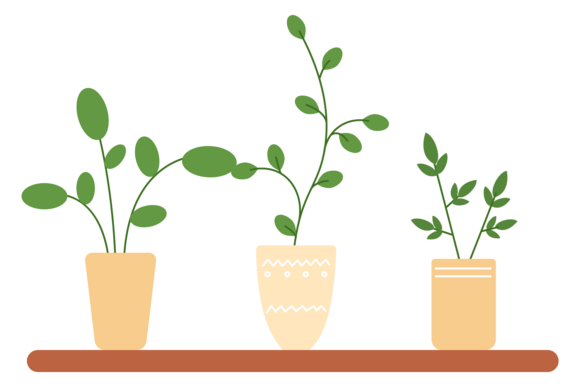 Urban Jungle Plants: A Graphic Asset for Interior-Driven Branding